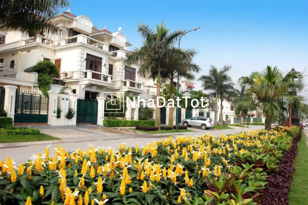 Bán biệt thự khu c kđt ciputra, tây hồ - 238m² - mt 9m - mặt đường đôi - view trường học
