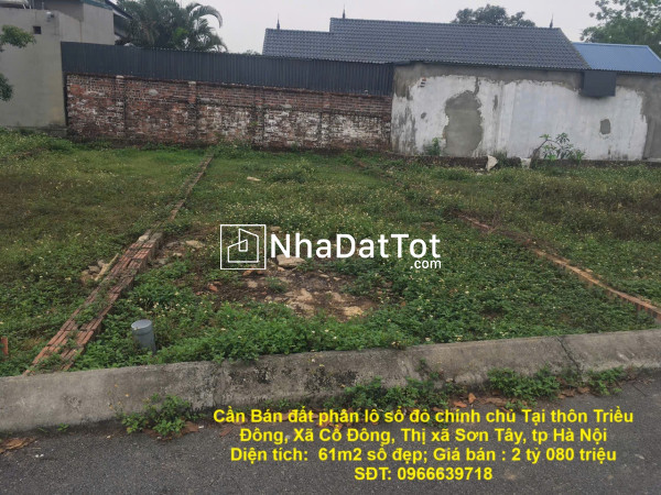 Cần bán đất phân lô sổ đỏ chính chủ tại thôn triều đông, xã cổ đông, thị xã sơn tây, tp hà nội