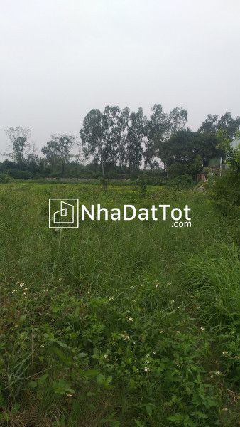 Cho thuê nhà có sân vườn dt 300m2 mặt đê ngọc thụy, long biên, hn