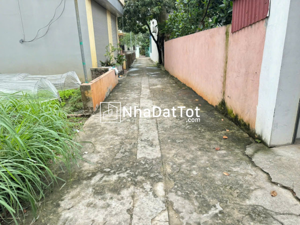 Bán đất đẹp sóc sơn - thái lai, minh trí - vị trí vàng cho nhà đầu tư