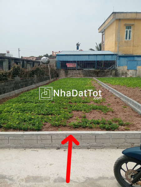Chính chủ cần bán nhanh lô đất tại tổ dân phố 35-  đào cam mộc – uy nỗ - đông anh.