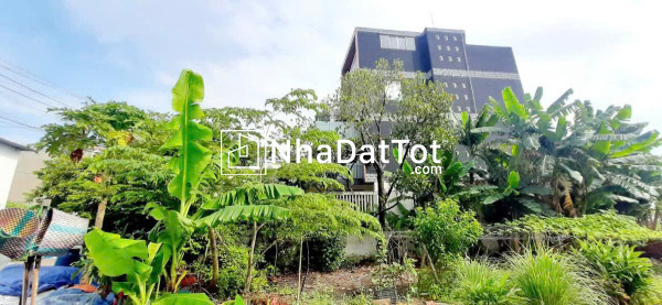 Bán gấp nhà (6.8x21.5) mặt tiền nguyễn thị thơi – q.12 – trệt 2 lầu btct