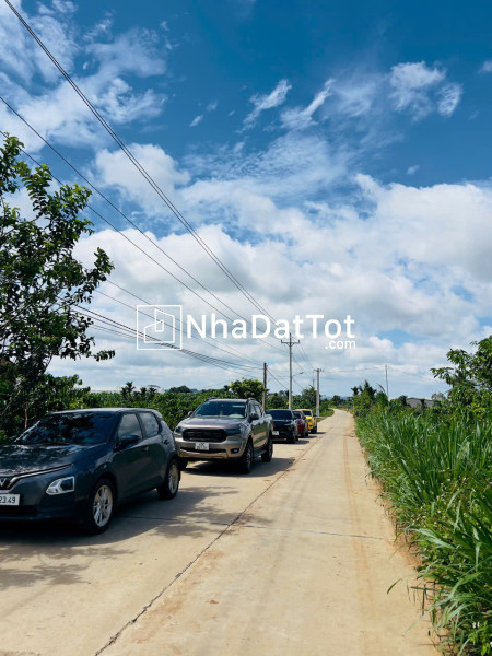 Sở hữu ngay lô đất đẹp - giá tốt - vị trí đắc địa tại tân văn, lâm hà, lâm đồng