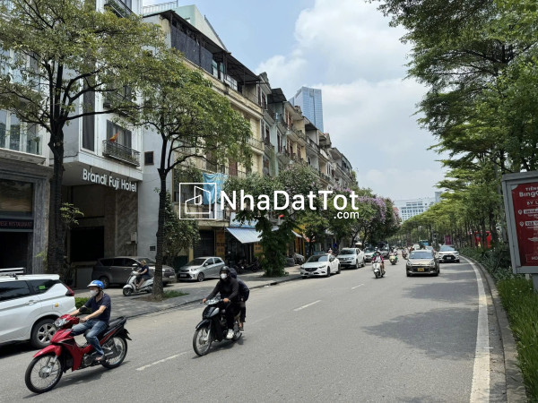 Bán nhà mặt phố đào tấn, ba đình - 43m² x 7t thang máy - vỉa hè rộng - kinh doanh - 36 tỷ
