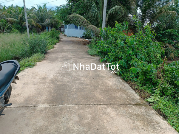 Cần bán đất nền long an – sau lưng gần rạch, mát mẻ, thích hợp an cư