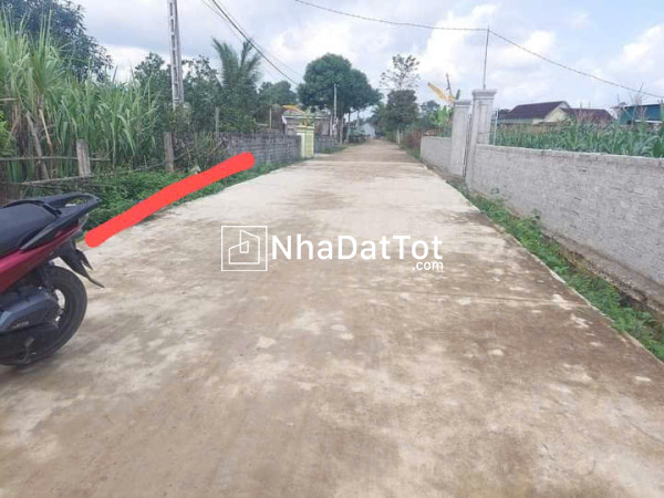 Bán 206,7m2 đất, mặt tiền 7m, tại nghĩa mai, nghĩa đàn, nghệ an, giá chỉ 240tr bao ra sổ