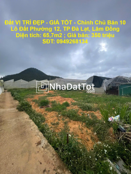 Đất vị trí đẹp - giá tốt - chính chủ bán 10 lô đất phường 12, tp đà lạt, lâm đồng