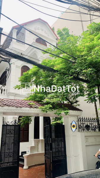 ⚜️ mặt phố vũ tông phan, thông số vip, 235m2 4t mt 8.1m, giá chỉ 61 tỷ ⚜️