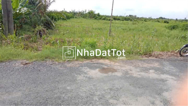 Chính chủ bán đất lộ vàm bi - trường hòa - 4 tổng, phong điền, tp cần thơ