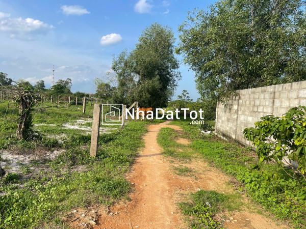 Bán 1000m2 đất thổ cư tân tiến, lagi giá ngộp 1.3 tỷ gần biển