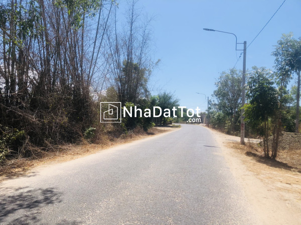 1.85tr/m2 đất 1000m2 mặt tiền cù chính lan, lagi sổ hồng riêng gái ngộp