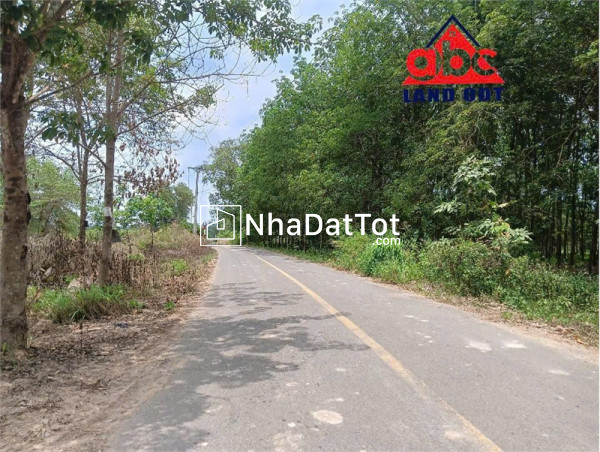 X090 bán nhà xưởng trên thửa đất rộng 9900m2, vị trí thuận lợi sản xuất nhiều ngành nghề