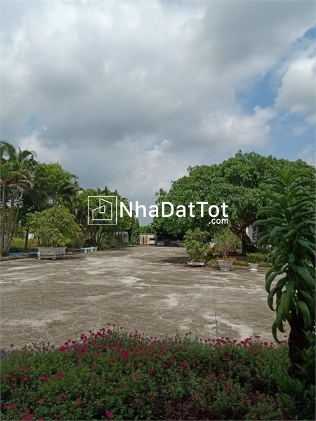 Bán đất phường đại yên, tp hạ long, tỉnh quảng ninh : dt 180m2