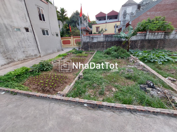 Cần bán gấp mảnh đất 42 cạnh nhổn, giá 5 tỷ
