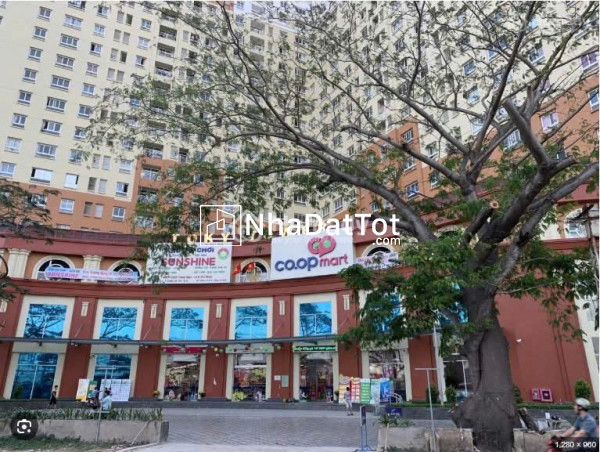 Kho xưởng (20x60) mt nguyễn văn bứa, xuân thới thượng, hóc môn – full thổ