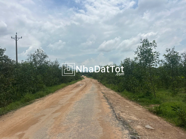 Bán 7.6 sào đất mặt tiền lê đức thọ, lagi giá rẻ nhất 390tr/ sào sổ riêng