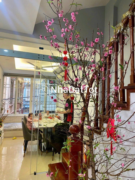 Giá tốt - bán nhà 5 tầng lô góc tại hoàng hoa thám, ba đình, hà nội