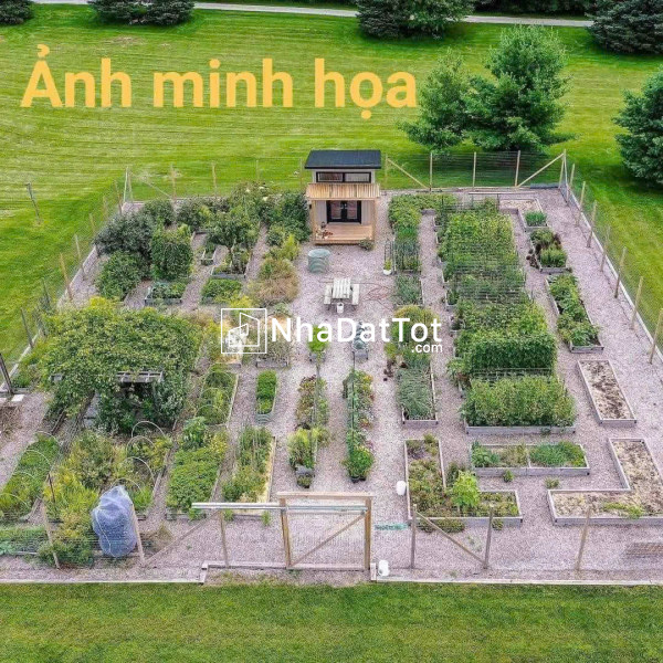 Cơ hội sở hữu lô đất đẹp gần đường vành đai – giá chỉ 10 triệu/m2
